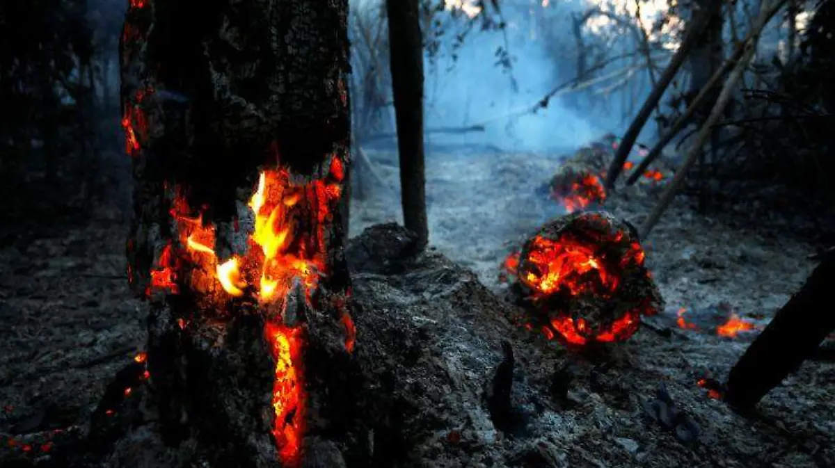 el pantanal REUTERS